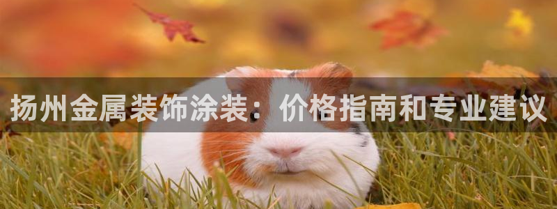 美高梅属于什么档次的品牌