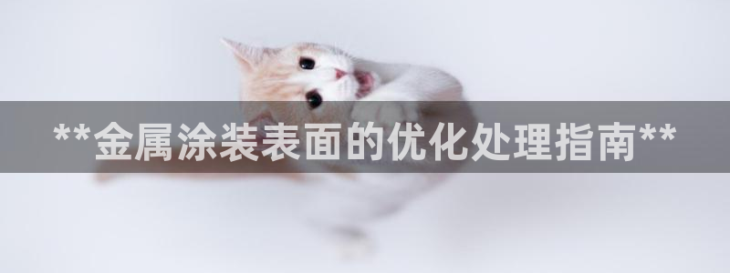 美高梅是哪里的公司