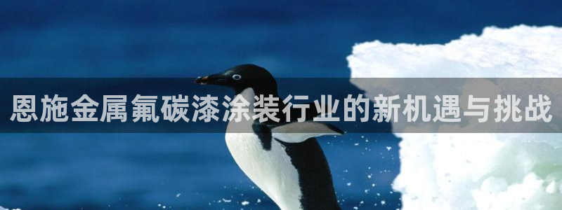 美狮美高梅酒店谁开的