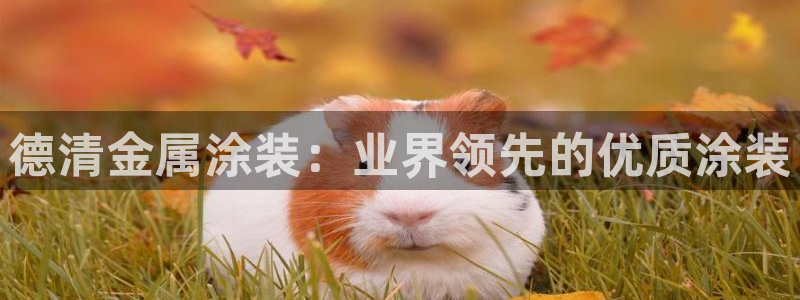 美高梅酒店英文