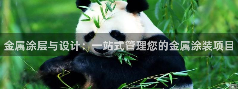 美高梅公司怎么样