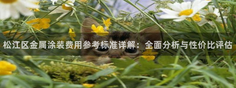 美高梅现在是谁的