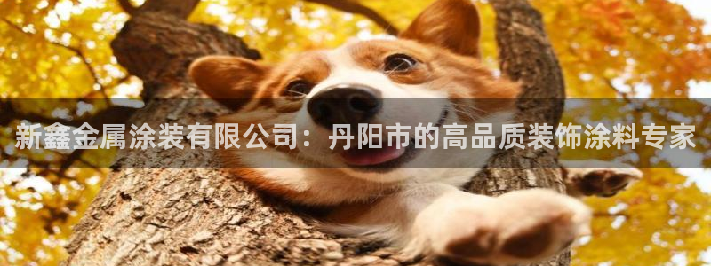 美高梅酒店自助年卡