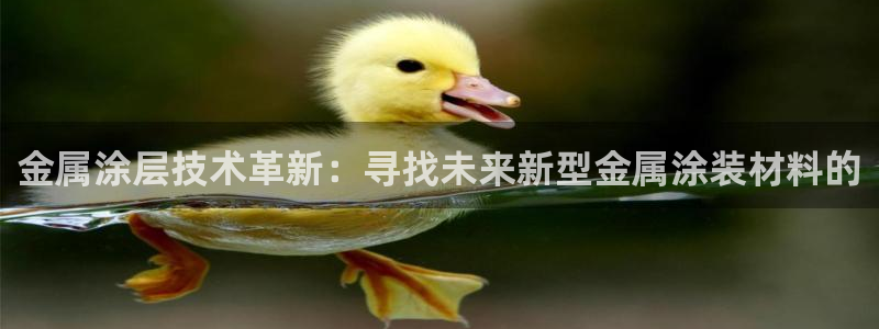 美高梅股票代码09128