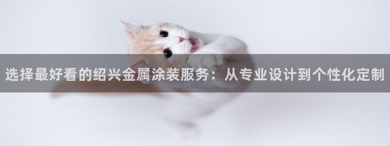 美高梅属于什么集团